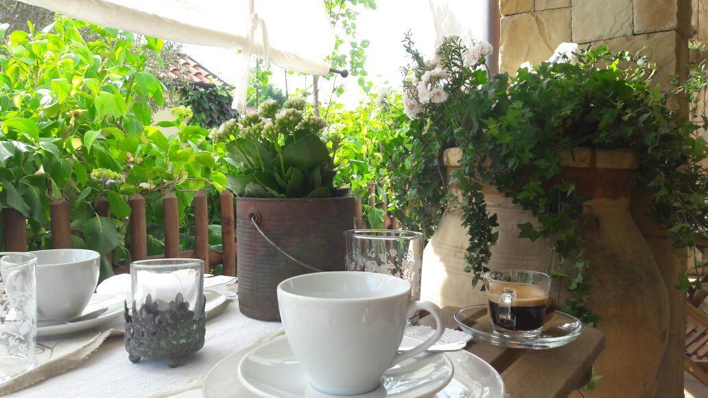 Travedona B&B Silvana المظهر الخارجي الصورة