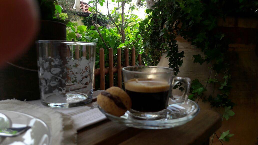 Travedona B&B Silvana المظهر الخارجي الصورة